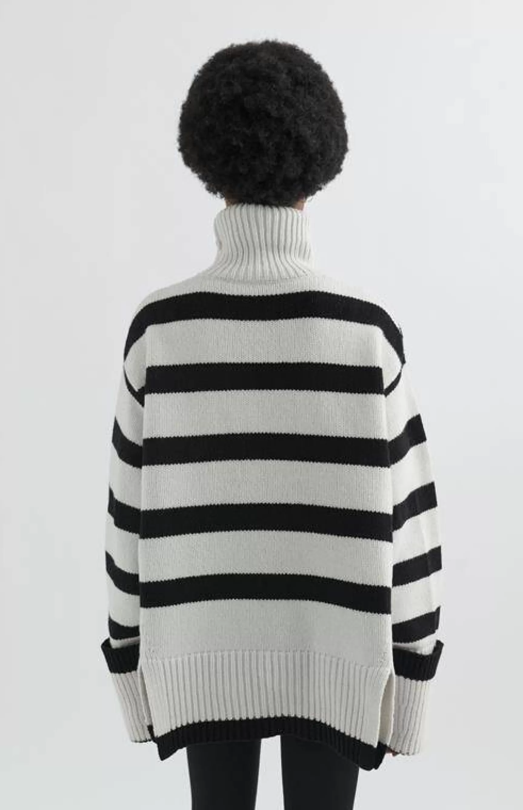 Remain Turtleneck Sweater | AXEL ARIGATO Best